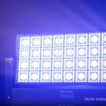 RGBW Strobes